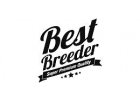 BEST BREEDER