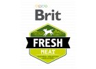 BRIT FRESH