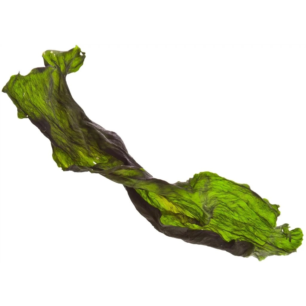 21221-2_marp-holistic-kelpa-500g-list