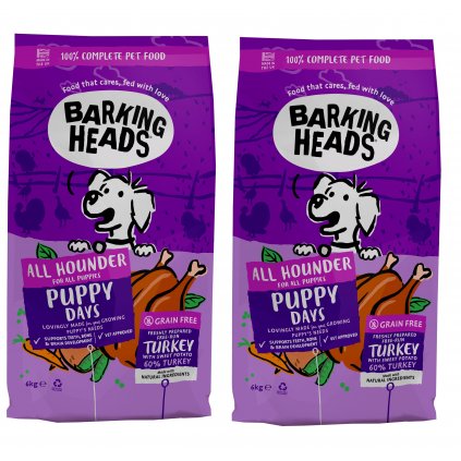 bh puppy 6