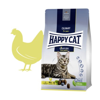 happy cat adult large breed