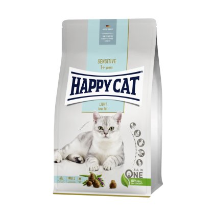 happy cat light 1