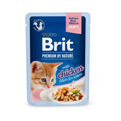 brit gravy kitten