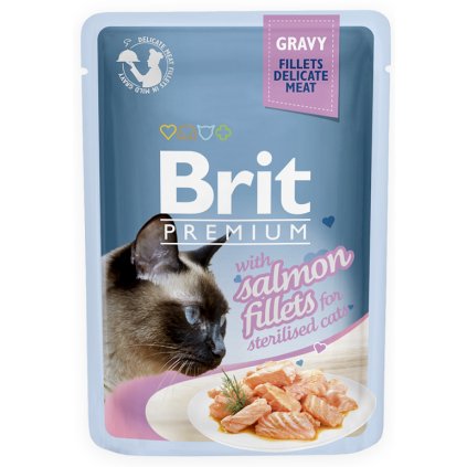 brit salmon f gravy