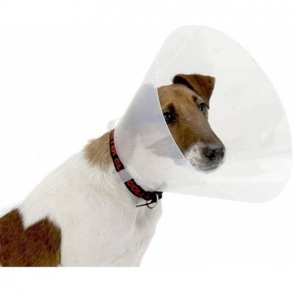 BUSTER Ochranný plastový límec Clic Collar