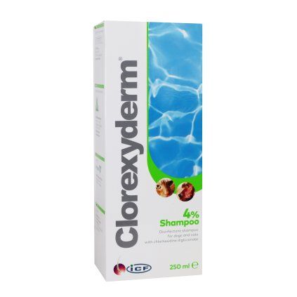 CLOREXYDERM šampon 4% ICF 250ml
