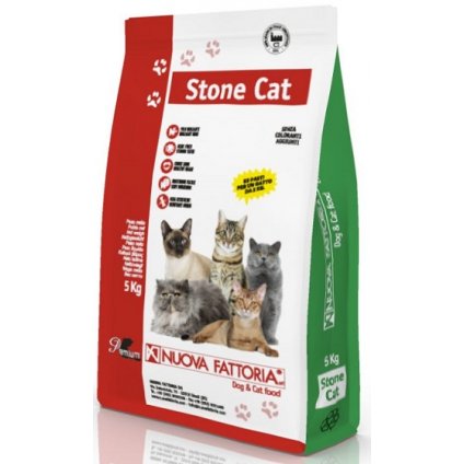 Stone Cat Fronte 754x800