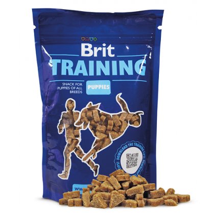 brit training puppies