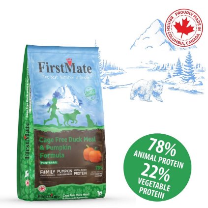 firstmate duck pumpkin