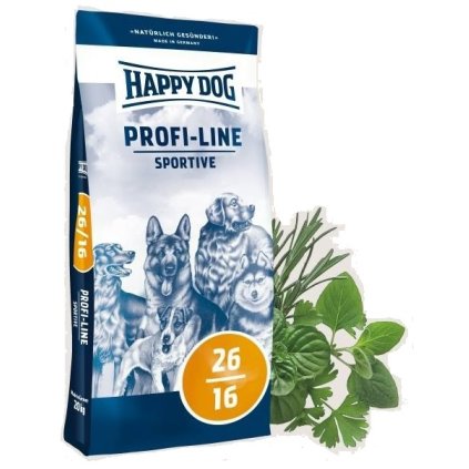 happy dog sportive