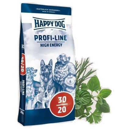 happy dog energy