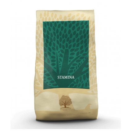 essential foods stamina