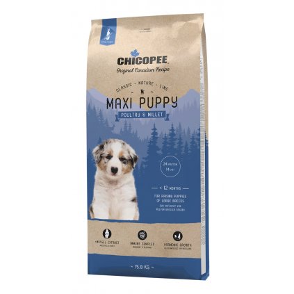 chicopee maxi puppy
