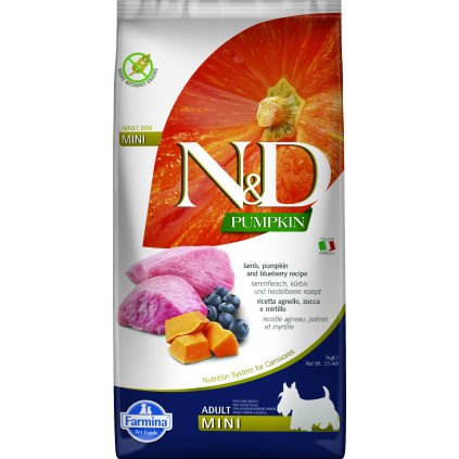 ND Pumpkin adult mini