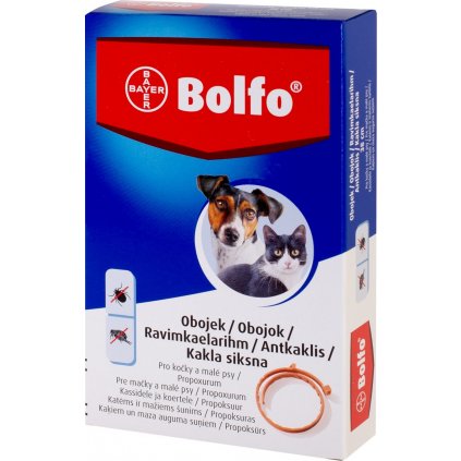 bolfo 38