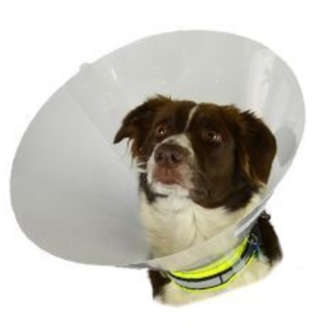 BUSTER Límec ochranný plastový Classic Collar Velikost: 35cm