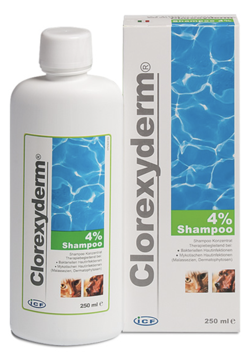 CLOREXYDERM šampon 4% ICF 250ml