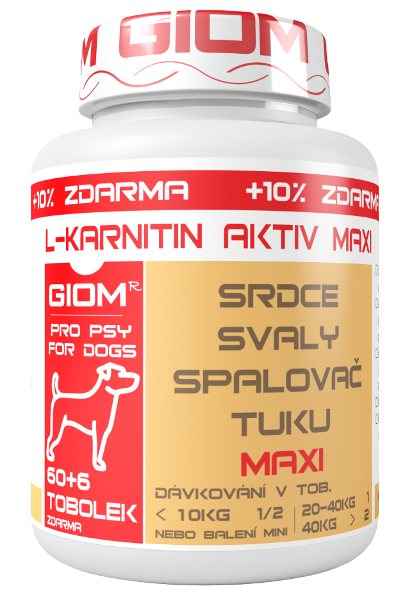 GIOM ERA L-karnitin Aktiv 60 Maxi 60 tbl