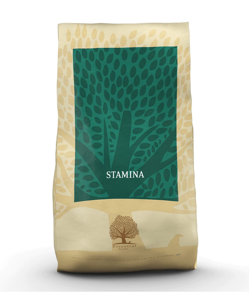 ESSENTIAL FOODS Stamina 10 kg