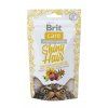 brit care shiny chesse