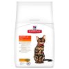 hills feline light i