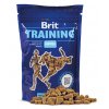 brit training puppies