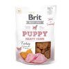 BRIT Jerky Puppy Turkey Meaty Coins 80g