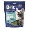 Brit dental L