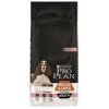 PRO PLAN Dog Adult Medium&Large 7+ 14 kg