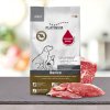 platinum iberico 1