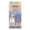 chicopee puppy lamb