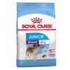 royal canin giant junior