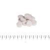 CANINA Petvital Biotin-tabs 100g (cca 50tbl.) - velikost