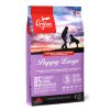 orijen large puppy