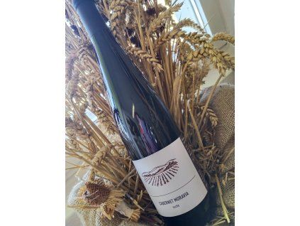 30429 cabernet moravia hycl