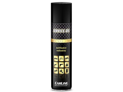 174965 carline service oil foto