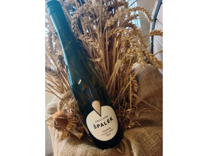 30384 spalek tramin 2024