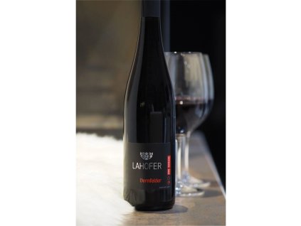 30388 dornfelder 2023 jpg