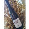 30431 cabernet moravia hycl