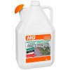 HG Odstraňovač zelených povlakov 5L