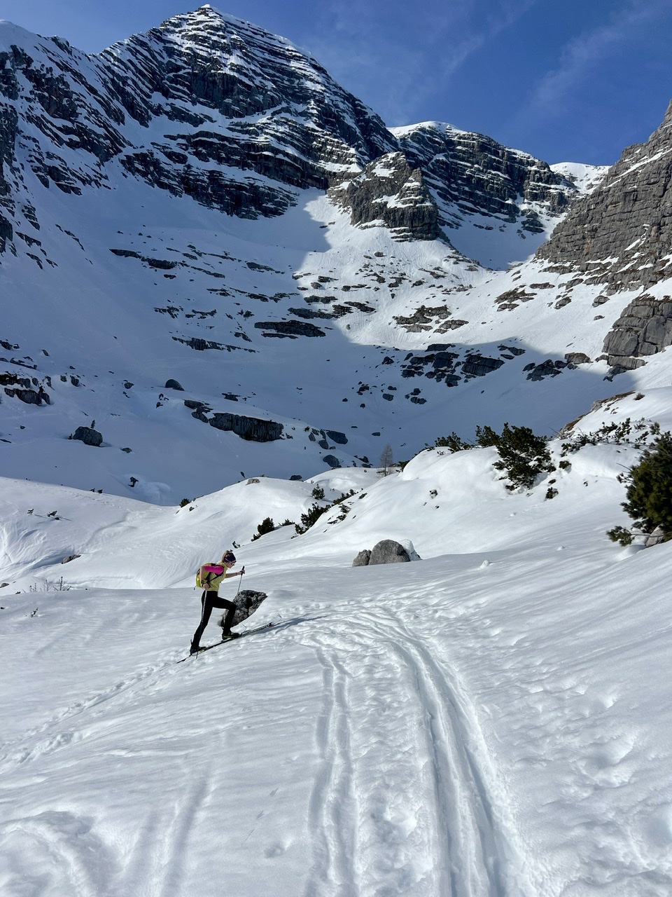 5097BD0F-FFC3-4642-AC1C-60329069D6BE