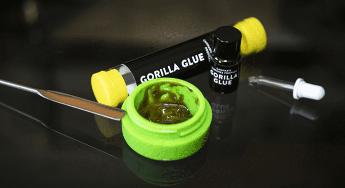 Objevte Esenciální Svět Cali Terpenů: Přirozená Kvalita Pro Vaše Smysly