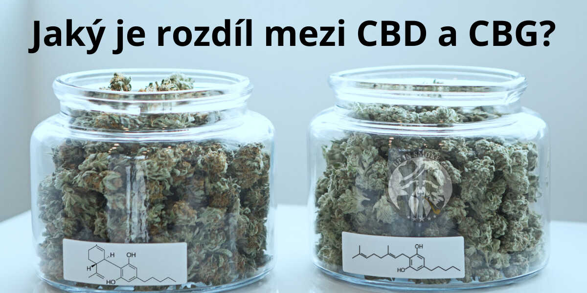 Jaký je rozdíl mezi CBD a CBG?