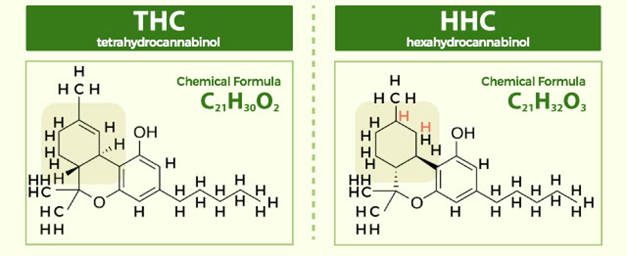 Co je HHC?  Je konzumace tohoto kanabinoidu bezpečná?