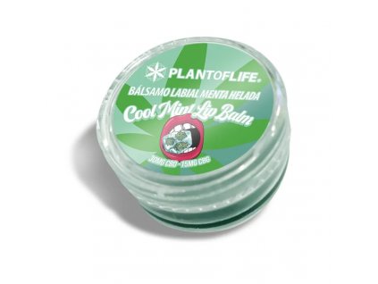 lip balm mint 2