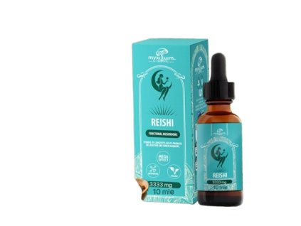 9f0ceef7a WhatsAppImage2026 01 09at181025 Copy removebg preview