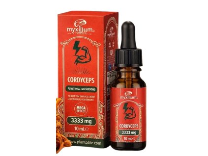 69db1520b WhatsAppImage2026 01 09at181052 Copy Copy removebg preview