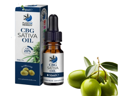 6843031f4 olive oil with 20 cbg 10ml removebg preview