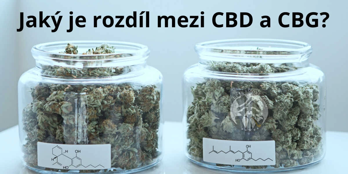 Aký je rozdiel medzi CBD a CBG?