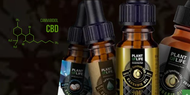 Nosné oleje pri CBD: skutočne záleží na výbere?